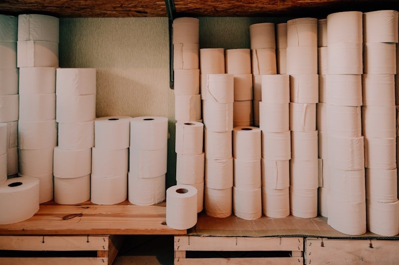 Paper plant